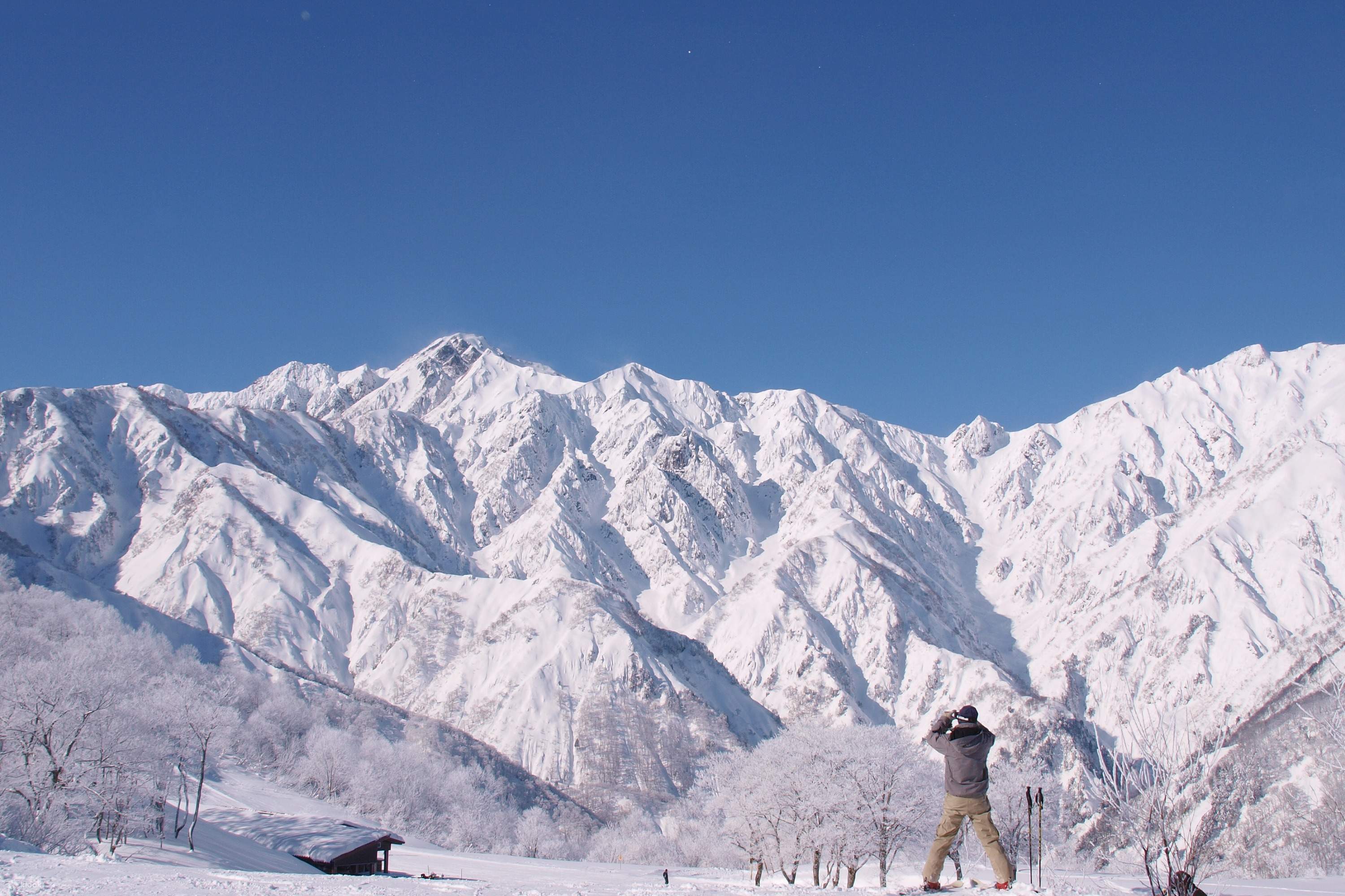 白馬47 ・エイブル白馬五竜 1日券 大人用 エイブル白馬五竜 & Hakuba47 Winter Sports Park 2024-25冬